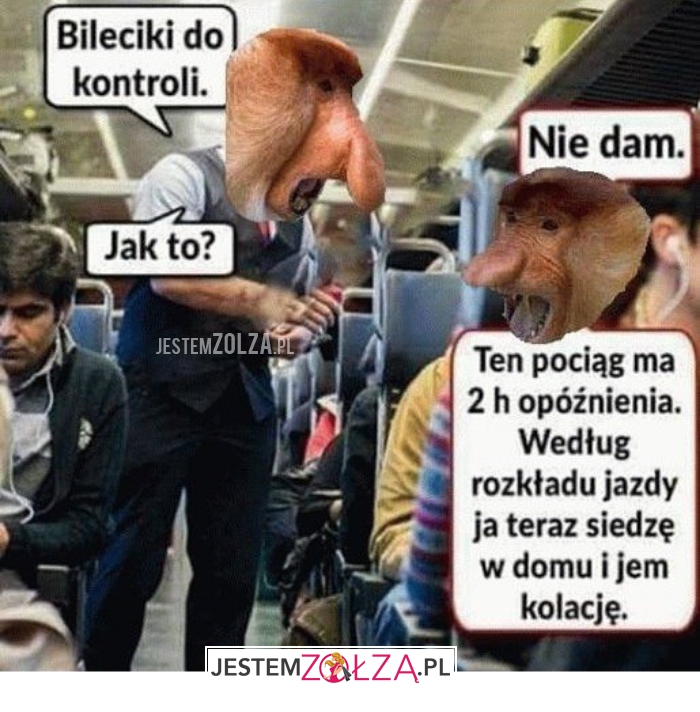 bileciki