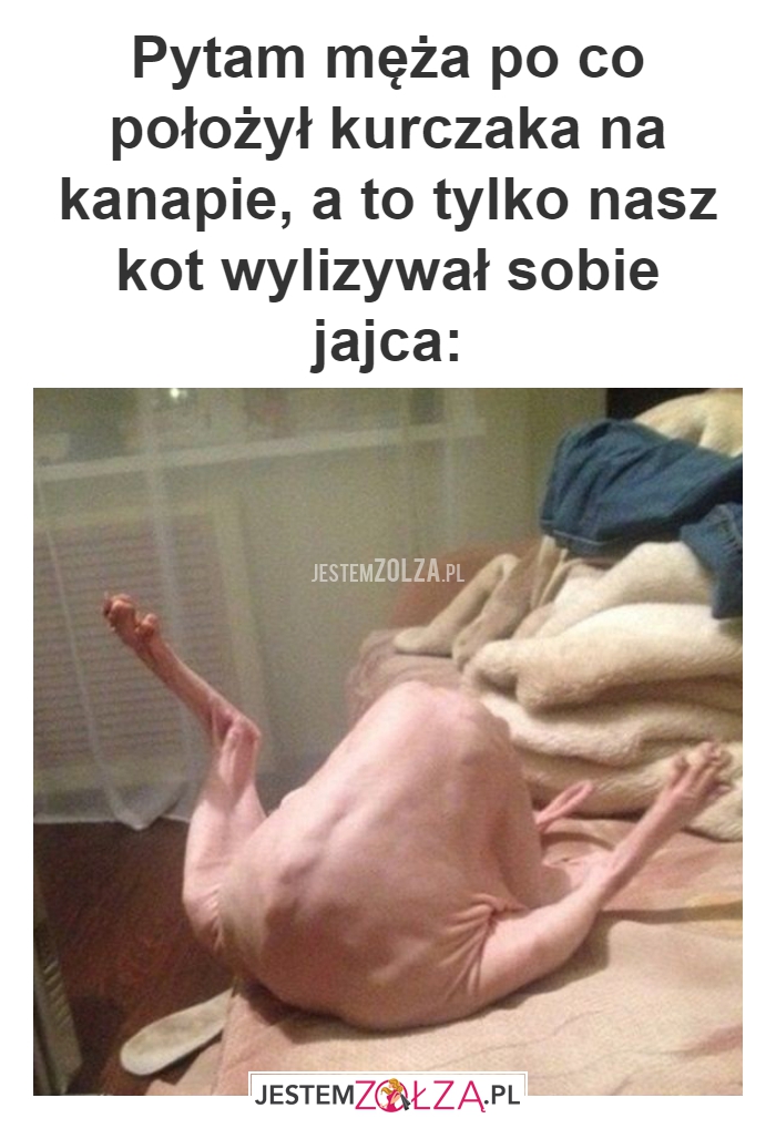 Pytam męża po co
