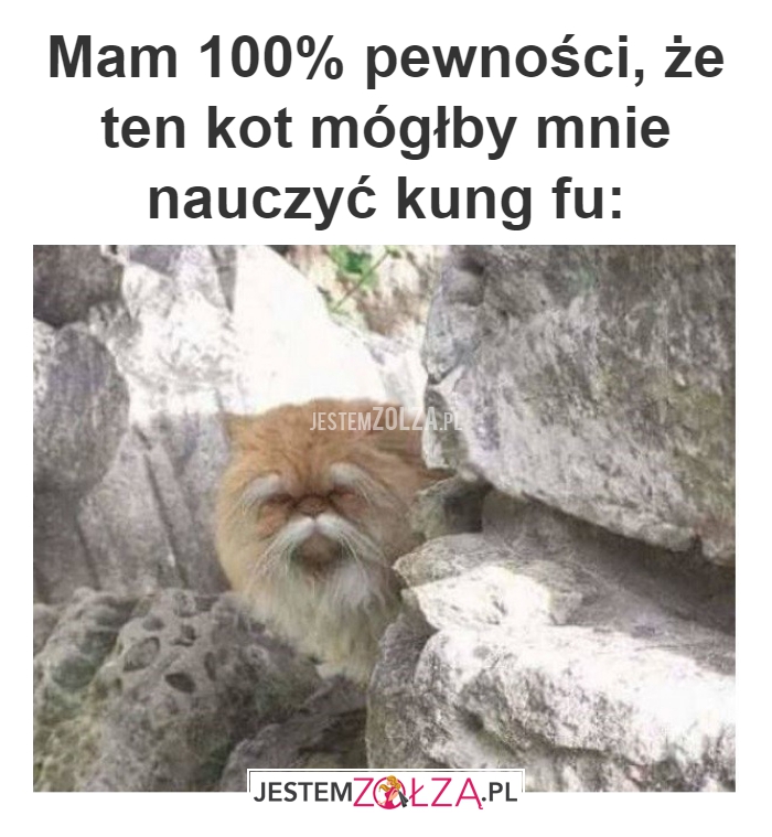 Mam 100% pewności