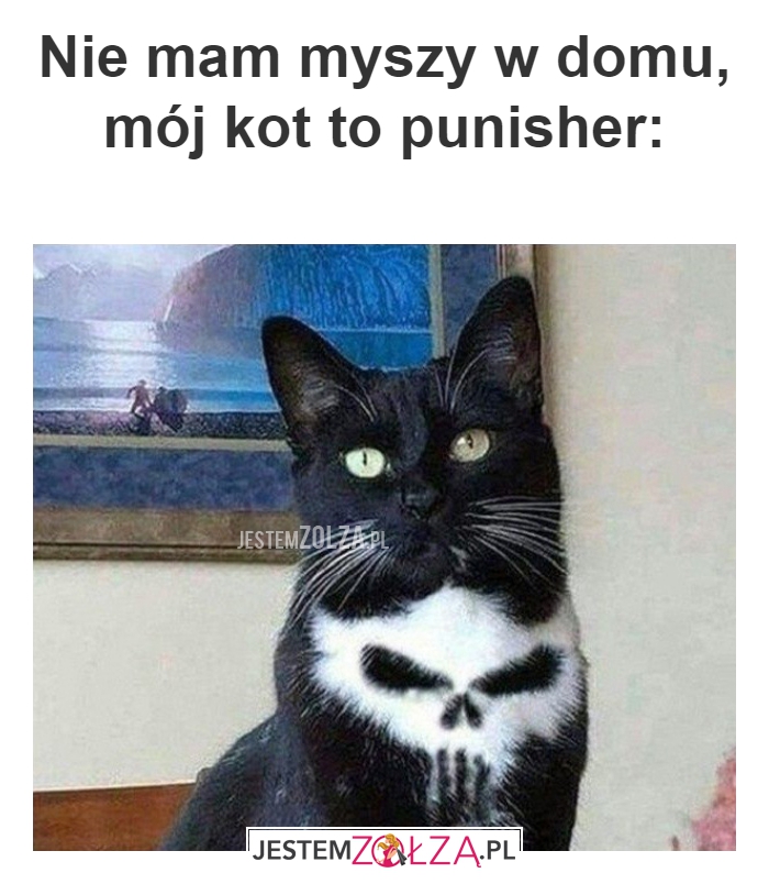 Nie mam myszy