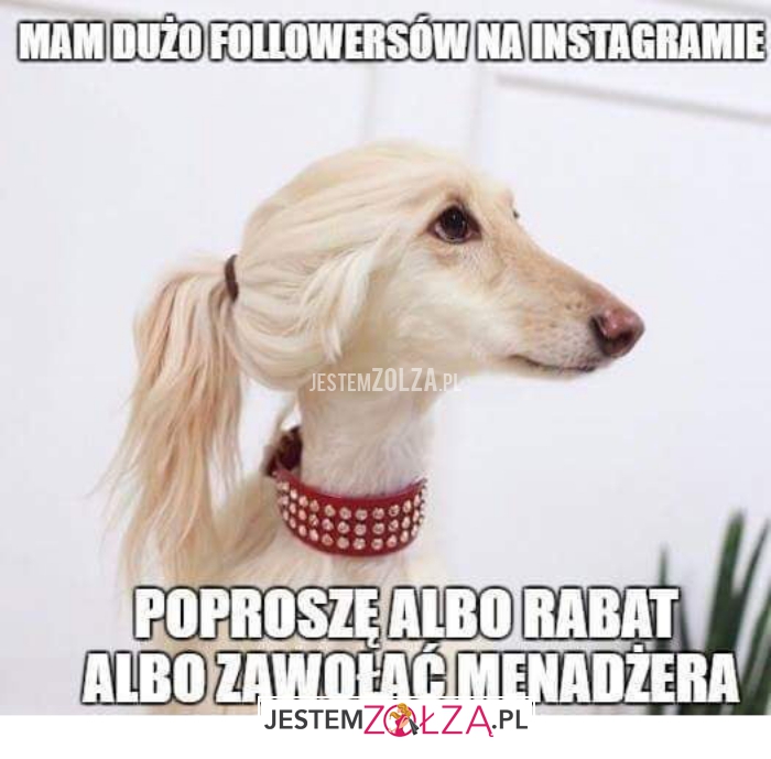 mam dużo