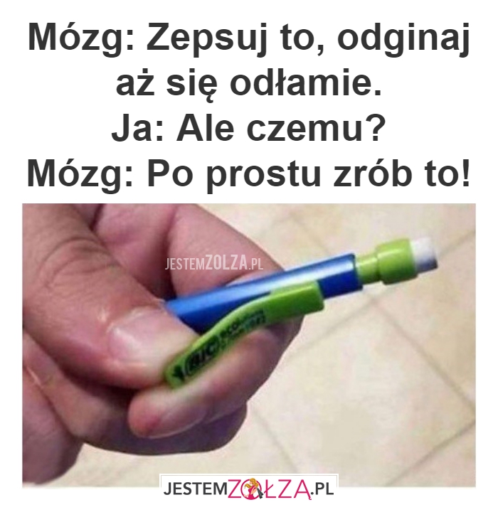 Mózg: Zepsuj to