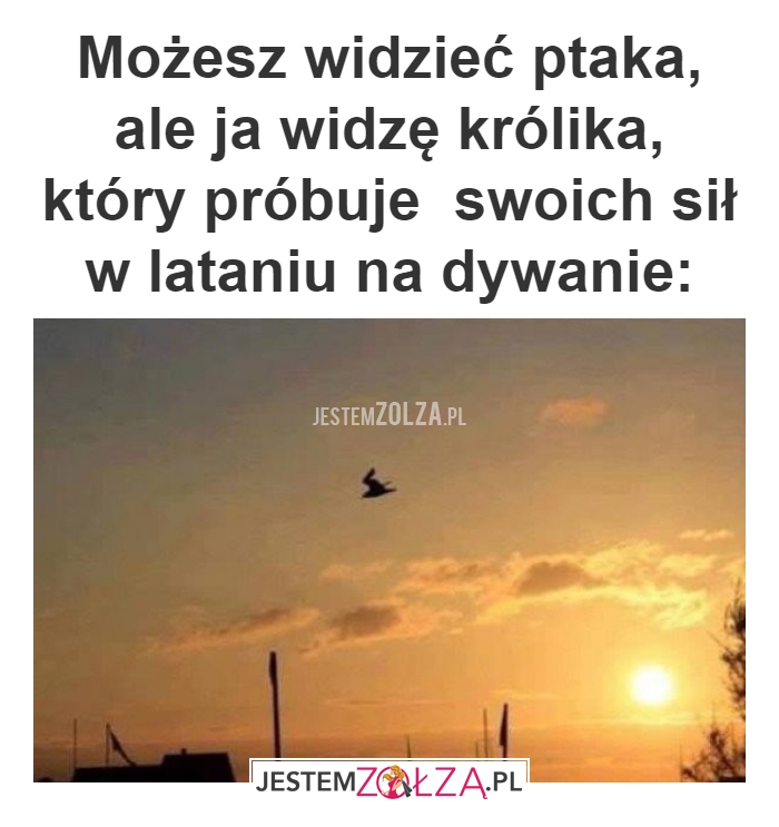Możesz widzieć ptaka,