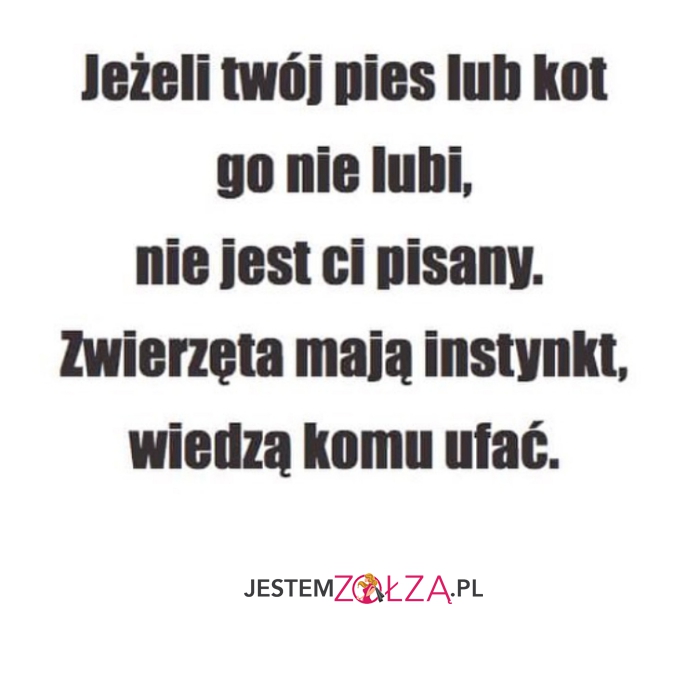 jeżeli  twój