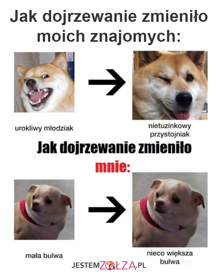Jak dojrzewanie 