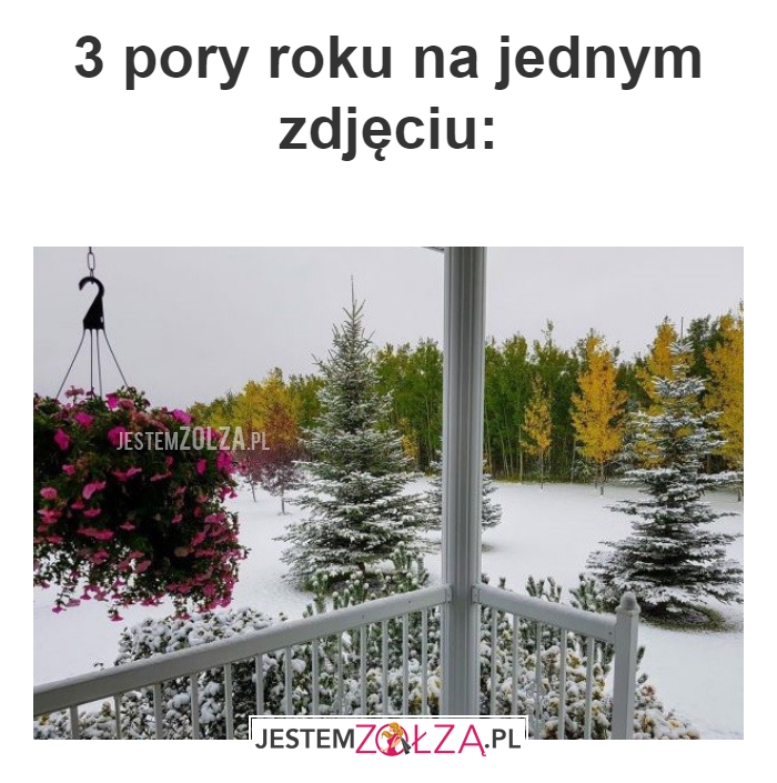 3 pory roku 