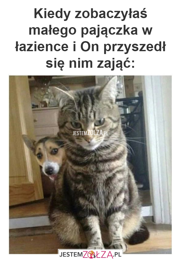 Kiedy zobaczyłaś