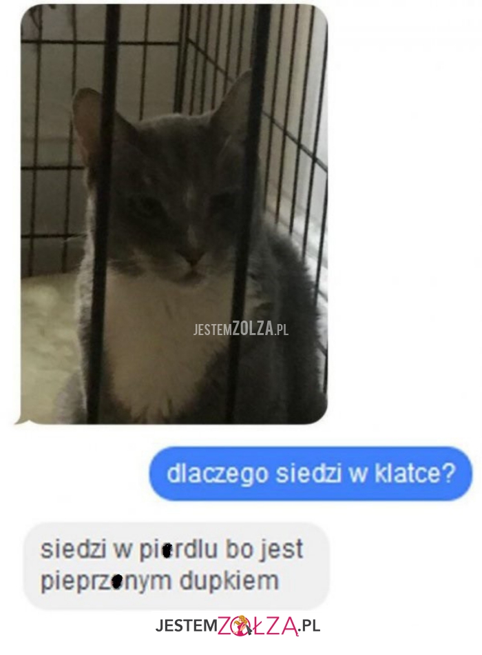 dlaczego siedzi