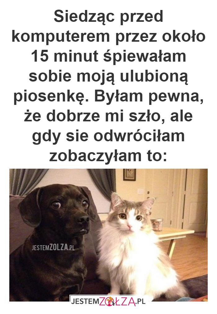 Siedząc przed komputerem