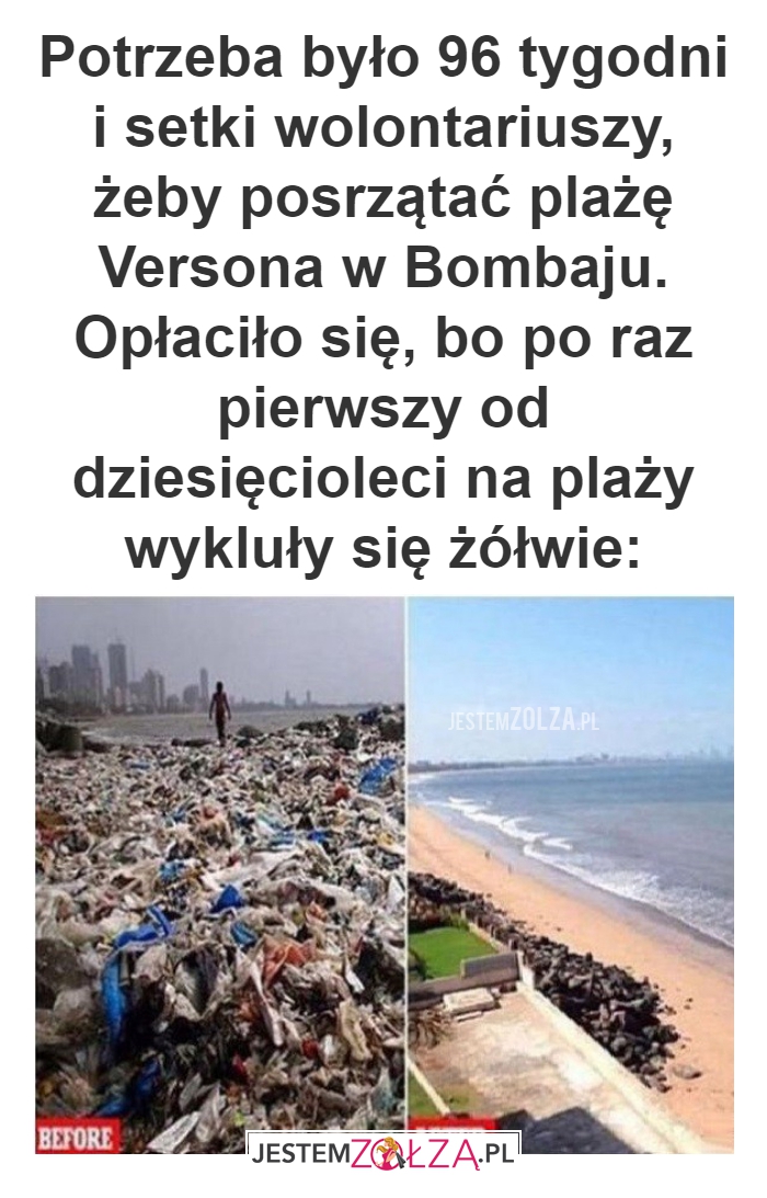 Potrzeba było 96 