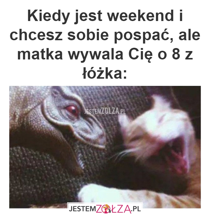 Kiedy jest weekend 