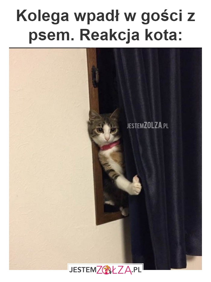 Kolega wpadł w 