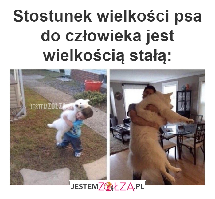 Stostunek wielkości 