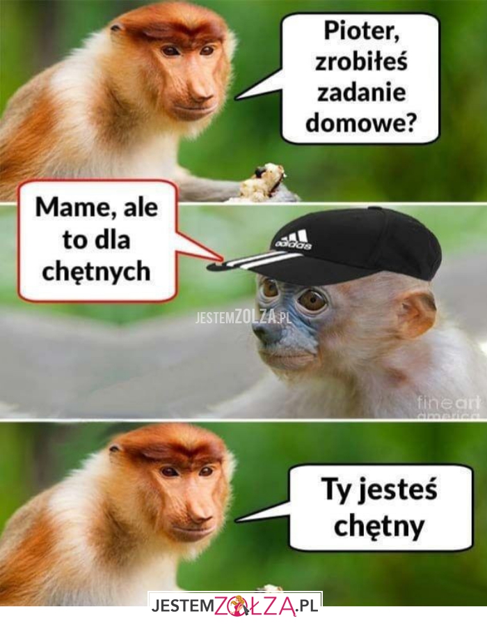 pioter zrobiłeś