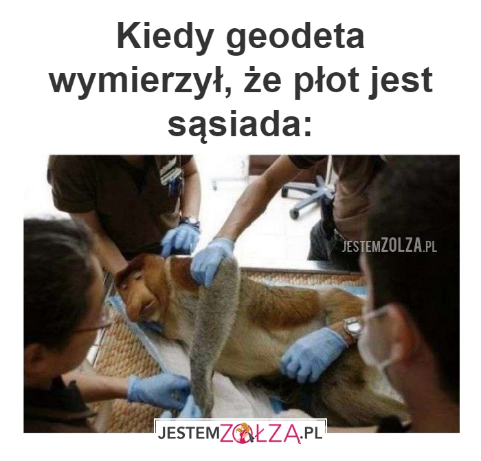 Kiedy geodeta 