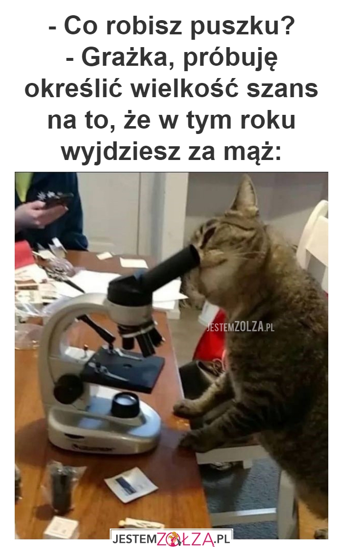 - Co robisz puszku? 