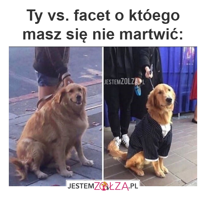 Ty vs. facet o 