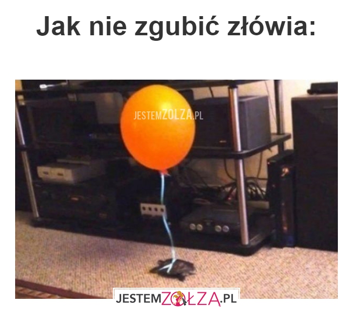 Jak nie zgubić 
