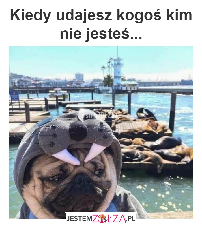 Kiedy udajesz 