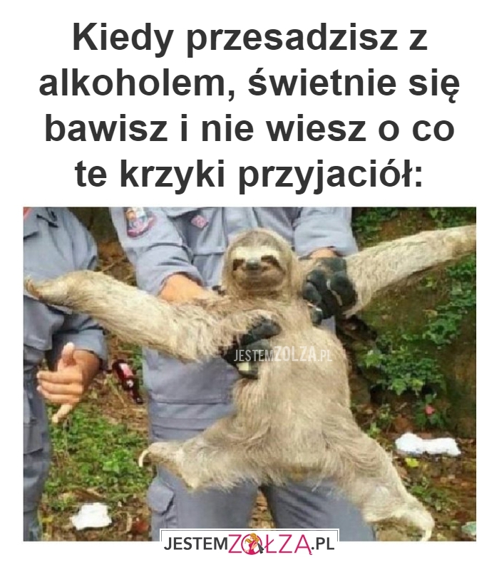 kiedy przesadzisz 