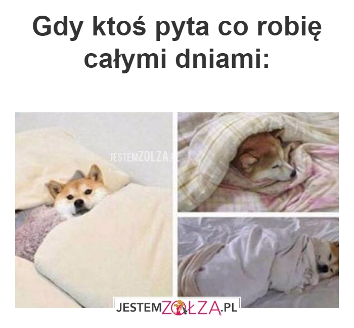 co robię?