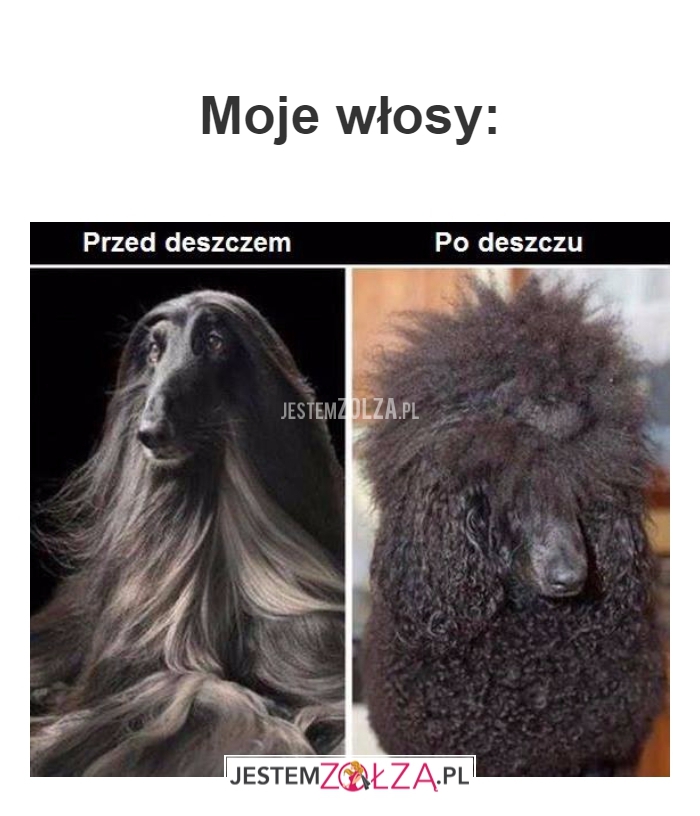 moje włosy