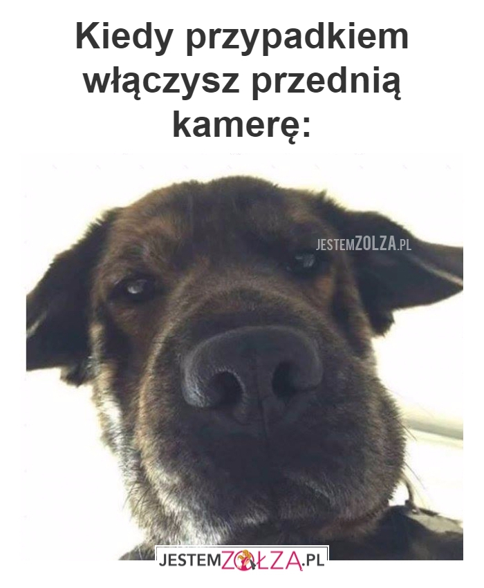 Przypadkiem...