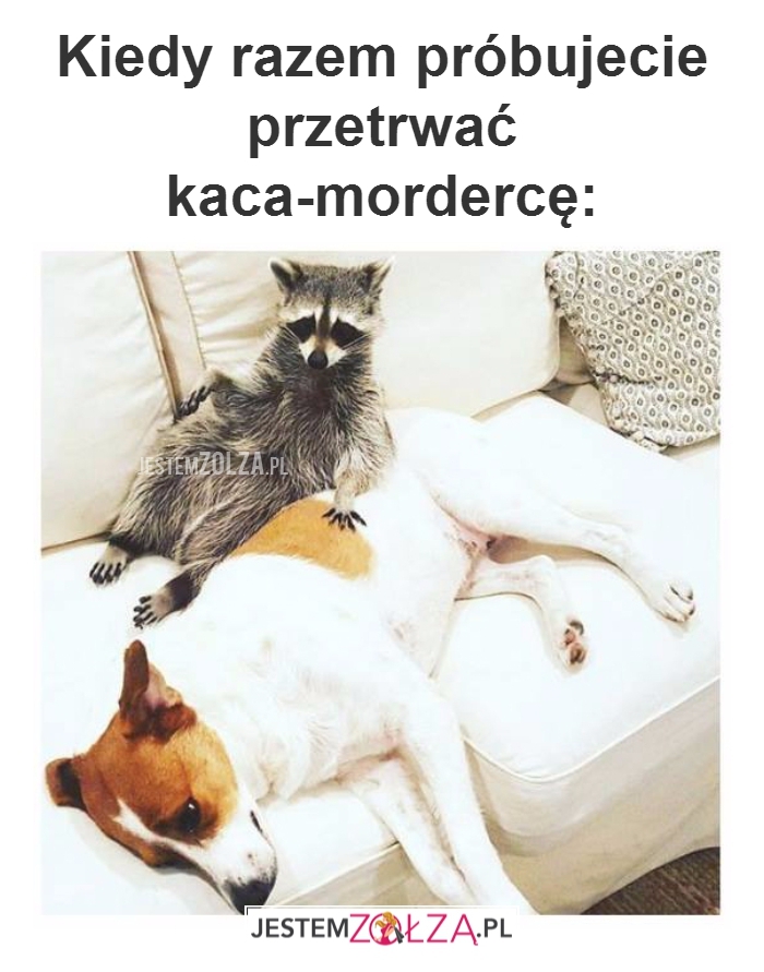 Kac morderca