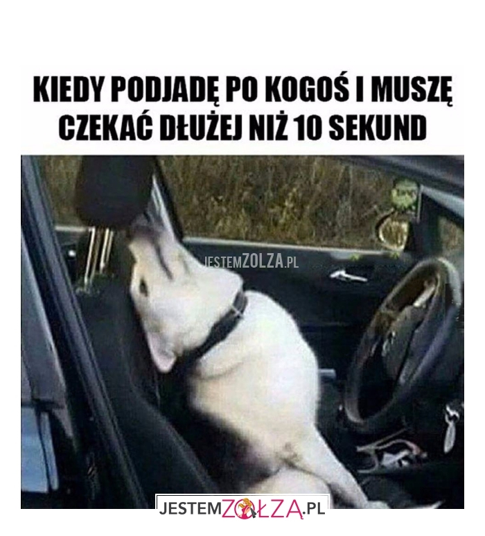 Czekanie