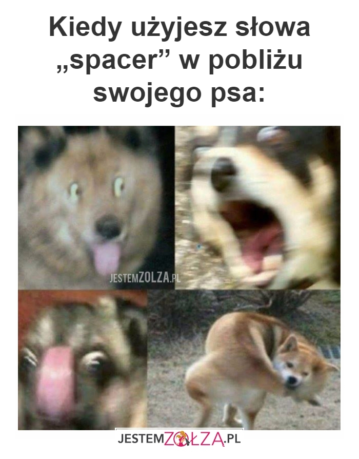 Spacer