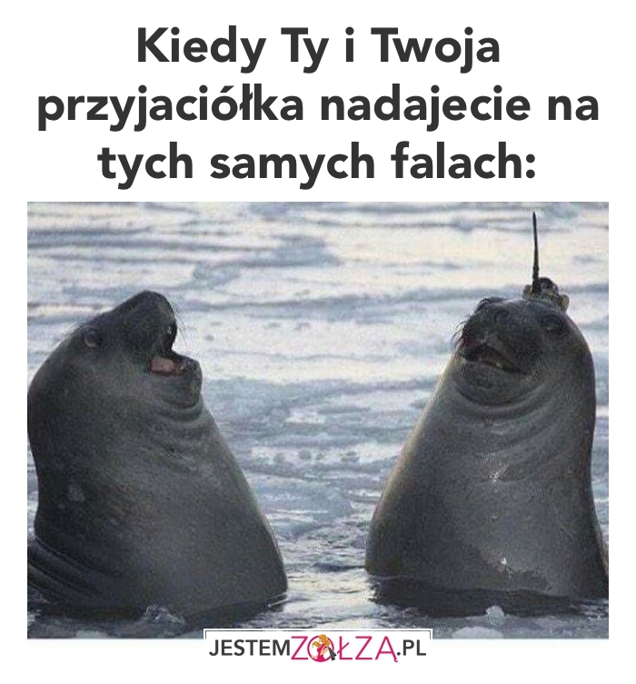 Ty i przyjaciółka