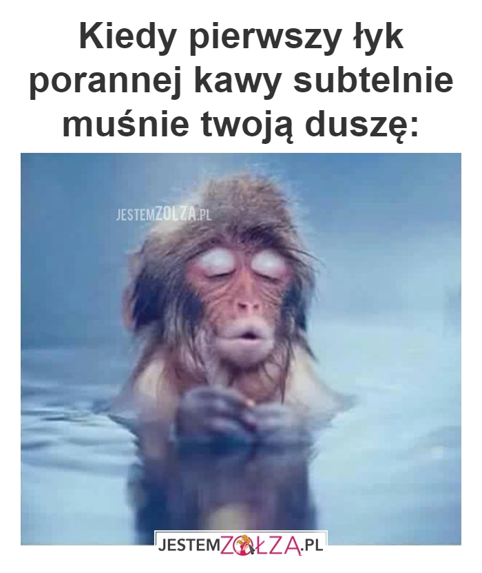 Pierwszy łyk