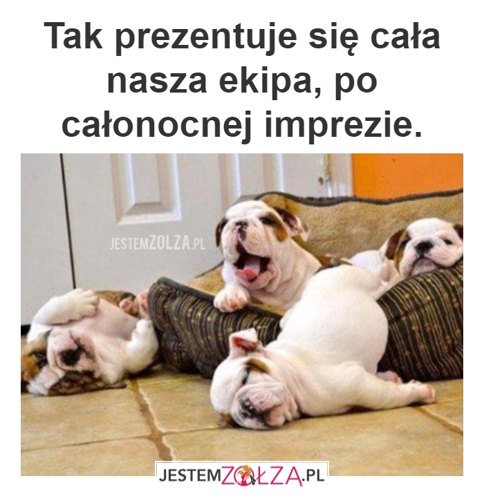 Cała ekipa