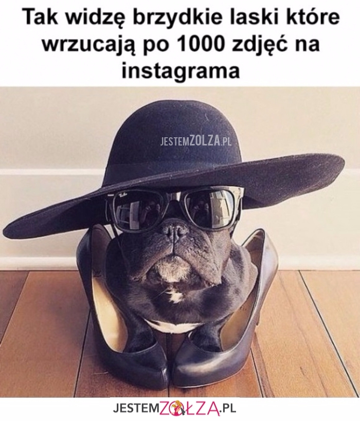 1000 zdjęć