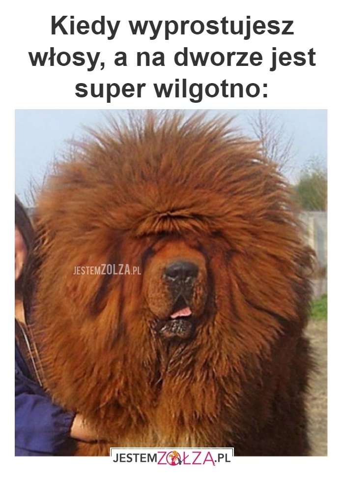 Wyprostowane włosy