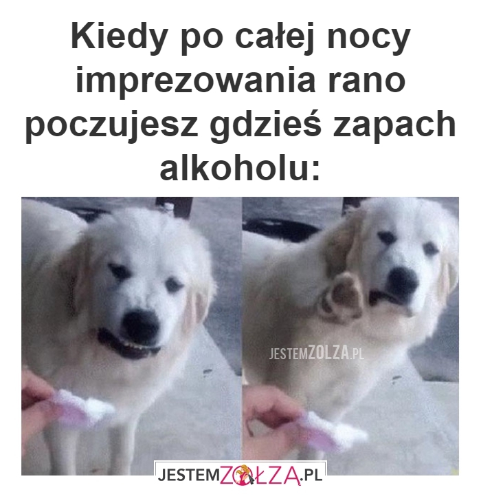 Po całej nocy