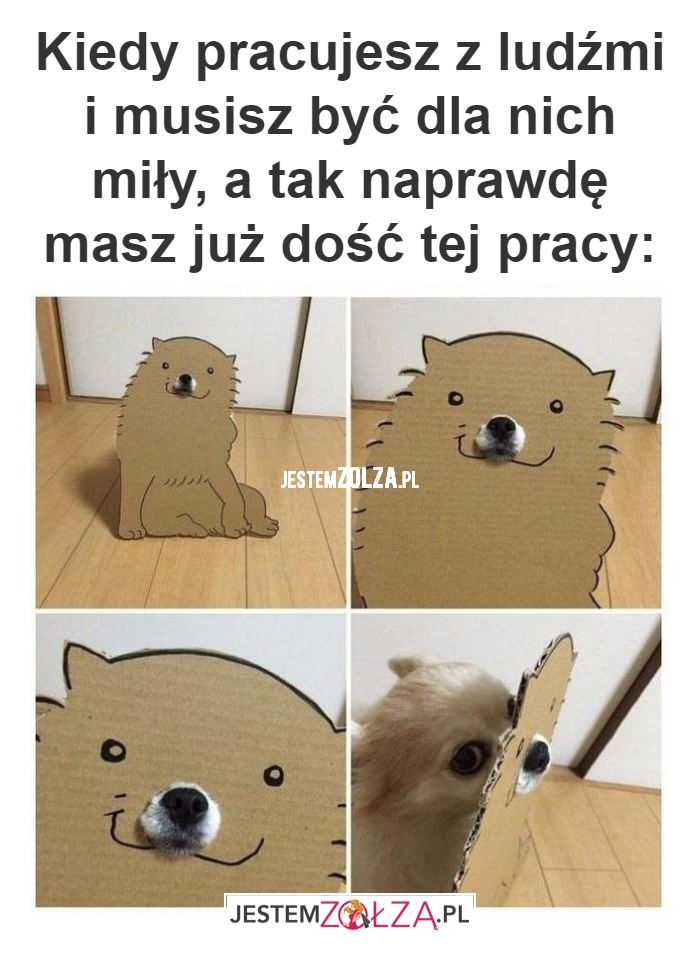 Kiedy pracujesz