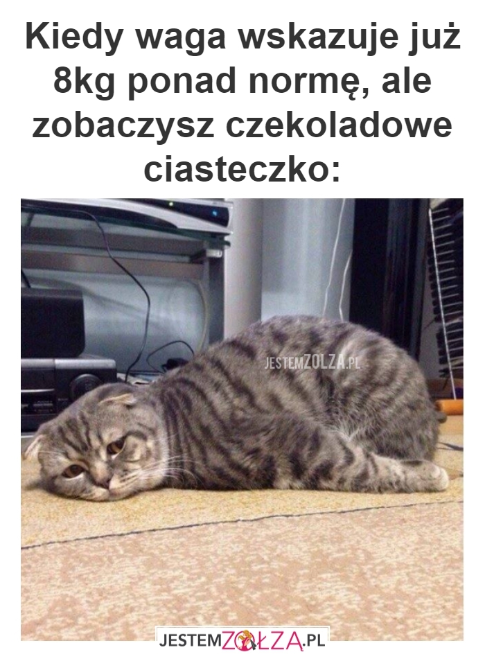 Ciasteczko