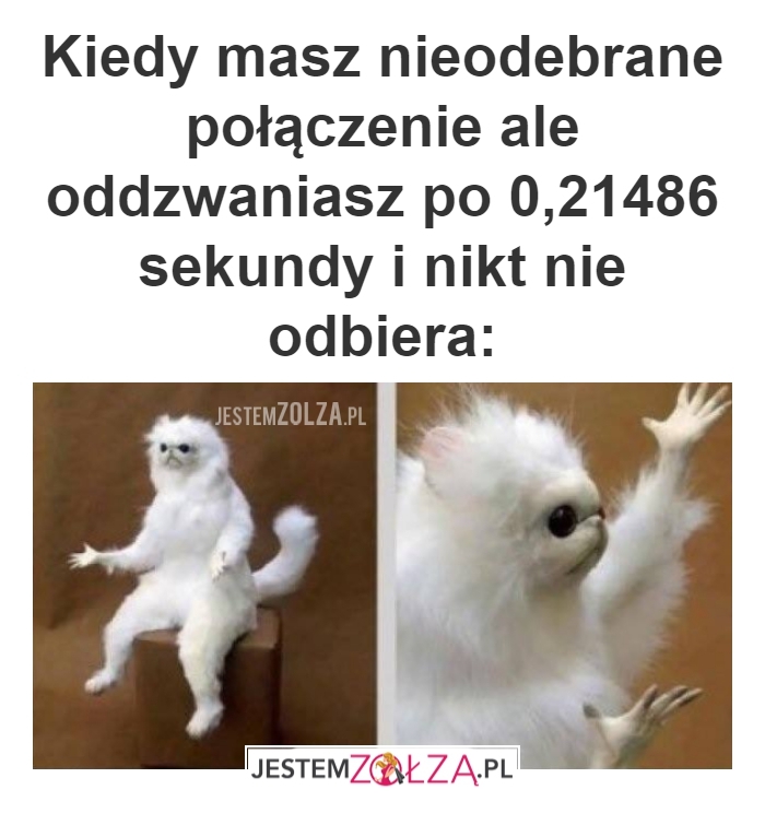 Połączenia