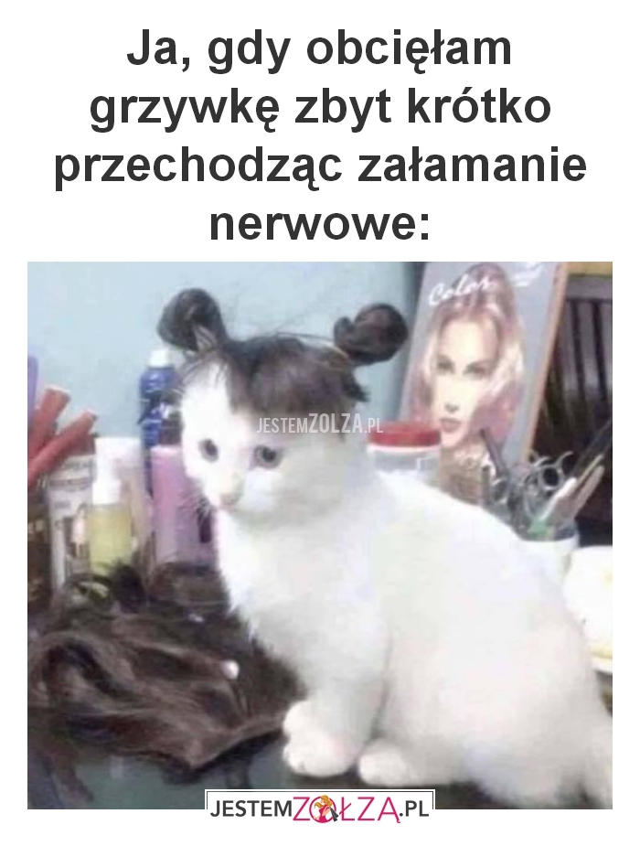 Grzywka