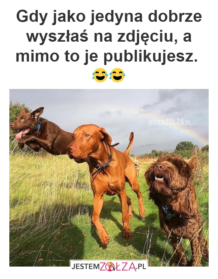 Zdjęcia