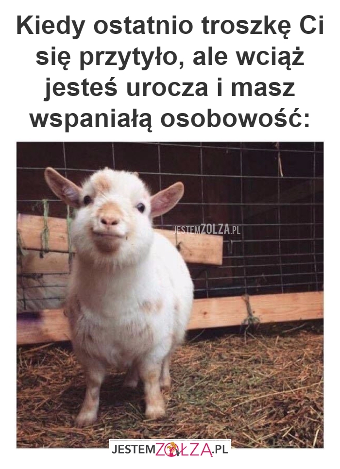 Osobowość