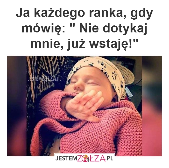 Każdego ranka