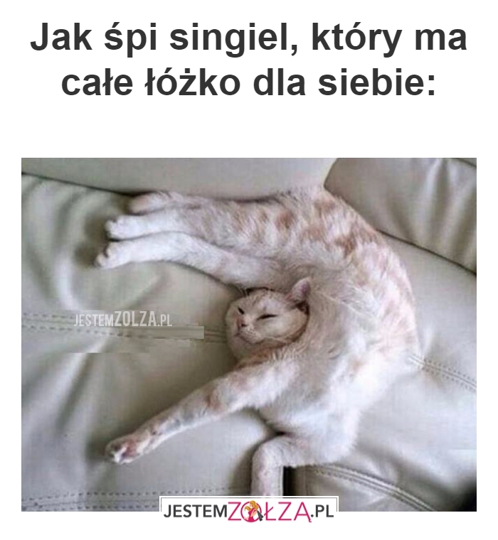 Jak śpi singiel?