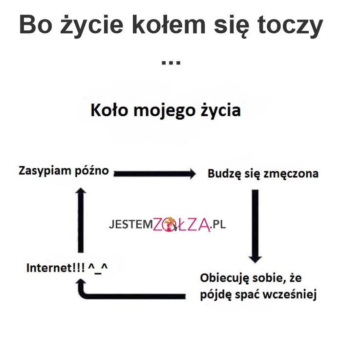 Życie kołem...