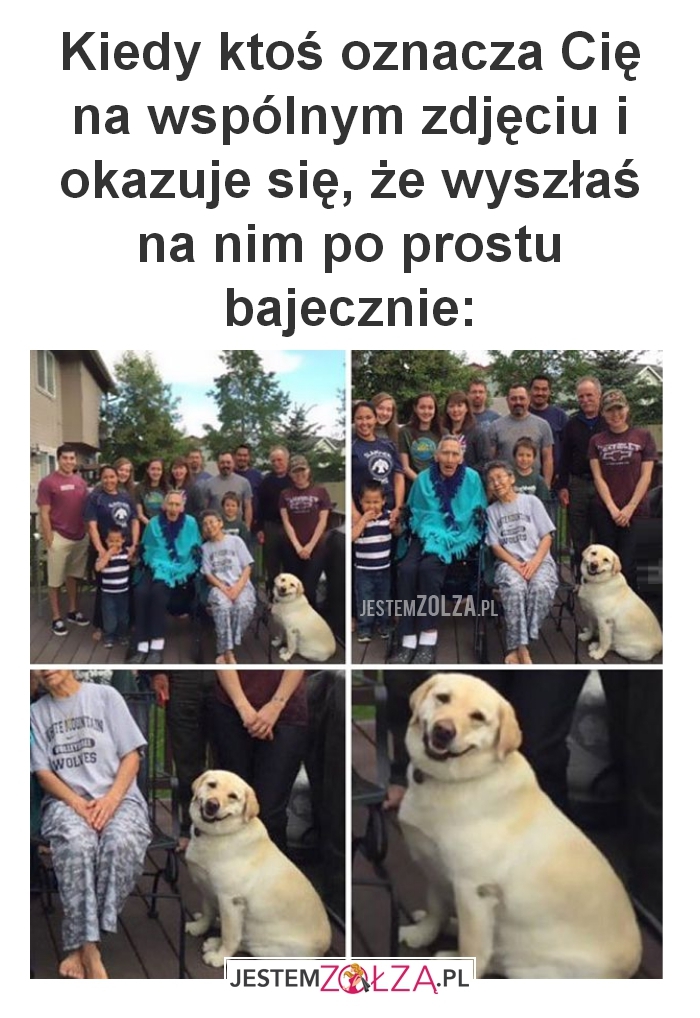 Zdjęcie