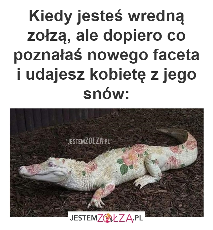 kiedy jesteś