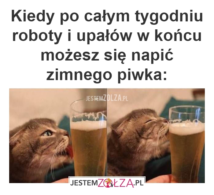 po całym tygodniu