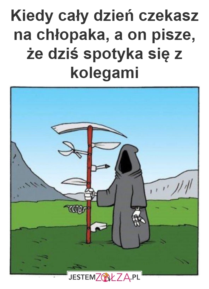 cały dzień