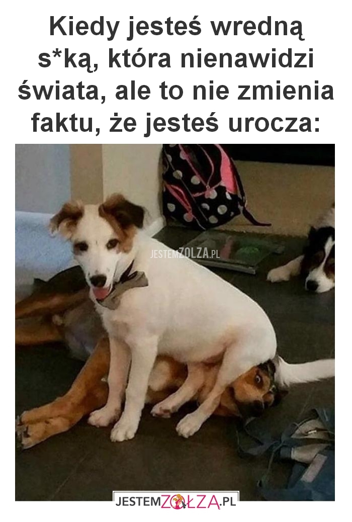 kiedy jesteś wredna